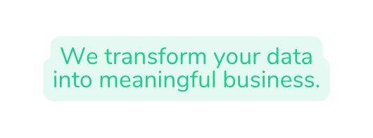 We transform your data into meaningful business